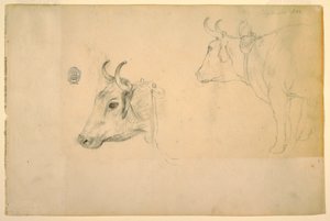 Cattle, September 1844 by Frederic Edwin Church