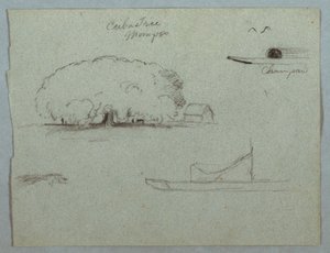 Ceiba Tree at Mompos, Champan Canoe, Trees, and a Partial Boat, Rio Magdalena, Colombia, 1853 by Frederic Edwin Church