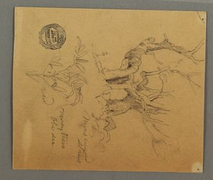 Dead Trees, Plant, possibly 1868