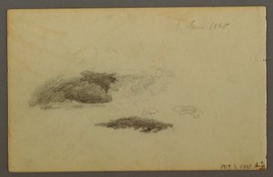 Decayed Birch by Frederic Edwin Church