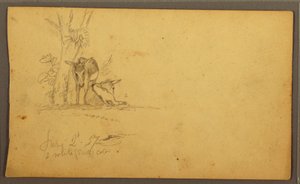Donkeys, June 2, 1857