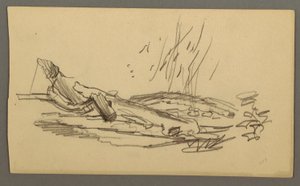 Fallen tree, possibly 1877