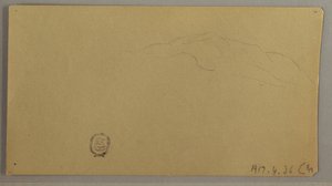 Flowering Plants, ca. 1856