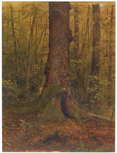 In the Woods, Probably Maine, 1850–60