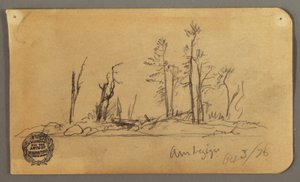 Island, 1878