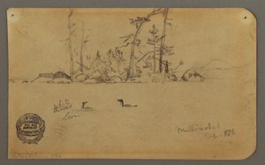 Island, Two loons, 1878 by Frederic Edwin Church
