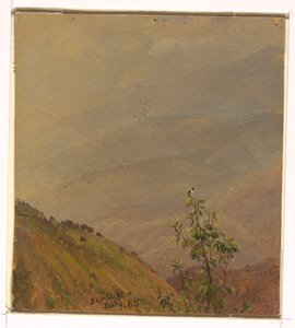 Landscape, July 1865