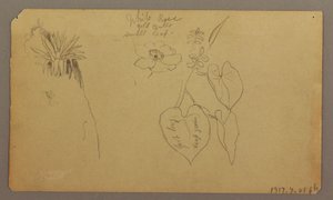 Landscape; Verso: Botanical Sketches, 1865 by Frederic Edwin Church