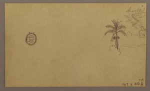 Landscape; Verso: Tree in Landscape, Sky, May–August 1865 by Frederic Edwin Church