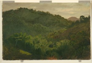 Landscape from Jamaica, West Indies, 1865