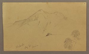 Landscape, plants, Bloxburgh, August 1865