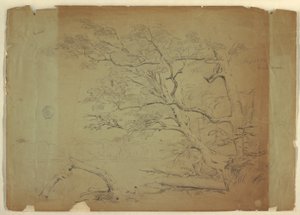 Landscape with Trees and a Stream, Grand Manan Island, Canada, September 1851 by Frederic Edwin Church