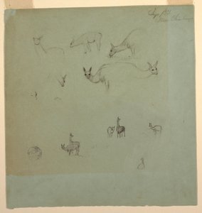 Llamas near Chimborazo, Ecuador, September 1853 by Frederic Edwin Church
