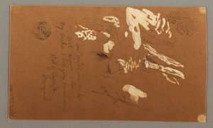 Lower half of Tree, July 9, 1868 by Frederic Edwin Church
