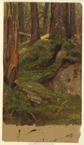 Maine? woods, 1855–65 by Frederic Edwin Church