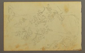 Mill Surrounded by Trees, 1845