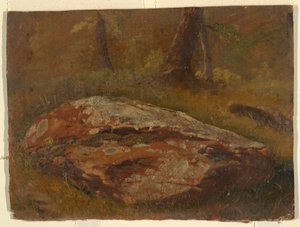 Mossy Rock, August 1845 by Frederic Edwin Church