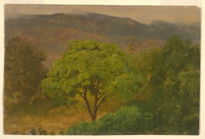 Mountain Landscape, August 1865 by Frederic Edwin Church