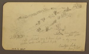 Mountain, Zapotlan; Verso: Wooded Hillside, Cuitzeo Lake, January 1885 by Frederic Edwin Church