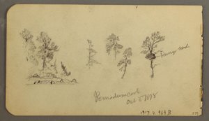 Pine studies, 1878 by Frederic Edwin Church