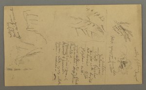 Plant Studies, Plant-Notes, Waterfall, 1868 by Frederic Edwin Church