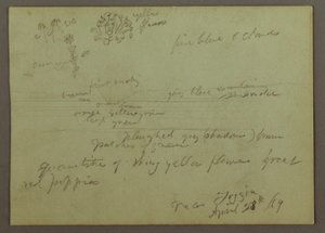 Plant and Landscape Study, April 28, 1869