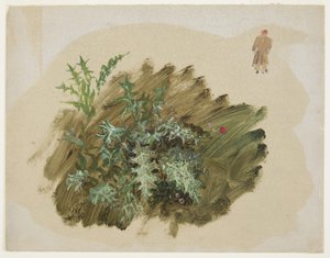 Plant Studies, 1865