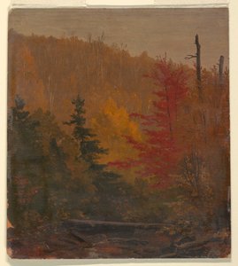 Probably near Katahdin, Autumn, 1865–70