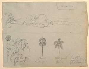 Sketches from Colombia: Bank of a River or Bay, and Trees, 1853