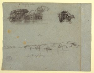 Sketches of Trees, Vines and a Bank of the Rio Magdalena, Colombia, 1853, probably May by Frederic Edwin Church