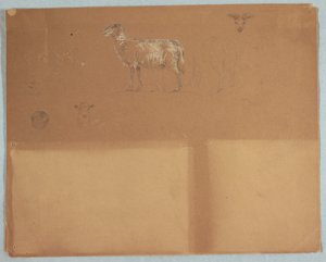 Studies of Sheep, Ecuador or Colombia, 1853 by Frederic Edwin Church