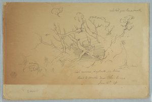 Studies of Trees and Rocks, Road to Mocho near Chimborazo, Ecuador, June 16, 1857 by Frederic Edwin Church
