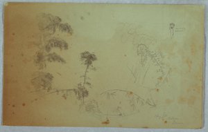 Studies of Trees with Details of Bamboo and a Small Detail of a Man Carrying Bananas on His Head, Bellevue, Jamaica, August 1865 by Frederic Edwin Church