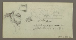 Study of Camel