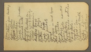 Supply list, possibly 1878