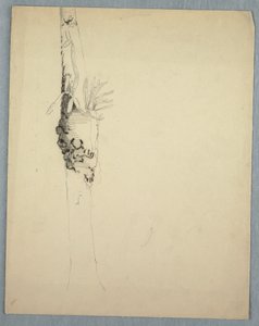 Tree Trunk with Parasitical Plants, Jamaica, May–August 1865