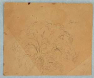 Tree; Verso: View of a Church, Two English Women of 1636, Study of a Horse, October 1845