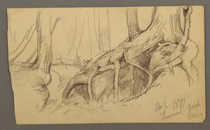 Tree Roots Growing Over a Boulder (Turner Mountain), 1877 by Frederic Edwin Church