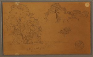 Trees, 1857