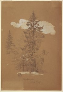 Trees, Berchtesgaden, Bavaria, July 3, 1868 by Frederic Edwin Church