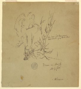 Trees Obersee in the Bavarian or Southern Alps, September 1868