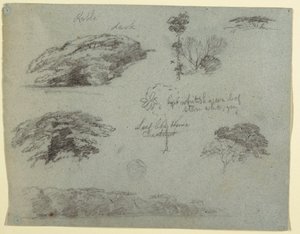 Trees, Tree Tops, and a Wooded Bank, Saddleback, Maine, 1853 by Frederic Edwin Church