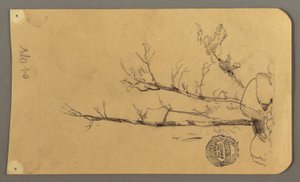 Trees, Boulders, 1878