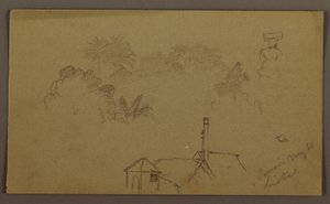 Trees, Figure, House Linstead, May 1865