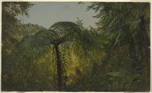 Tropical Landscape, June or July 1865