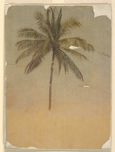 Trunk and top of a palm tree, 1865 by Frederic Edwin Church