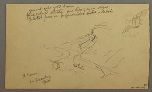 Valley of El Yemen, February 20, 1868