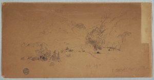 View of Toche, Colombia, July 1853