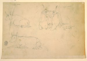 Views of crouching cattle, September 1844