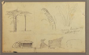 Views of the East Bank of the Guayas River, opposite Guayaquil, Ecuador, May 1857